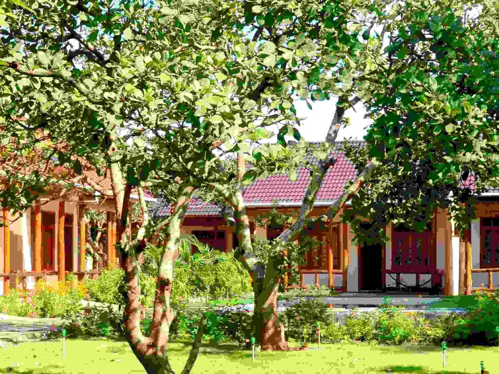 Thuy Van Bungalow Phu Quoc — photo 5