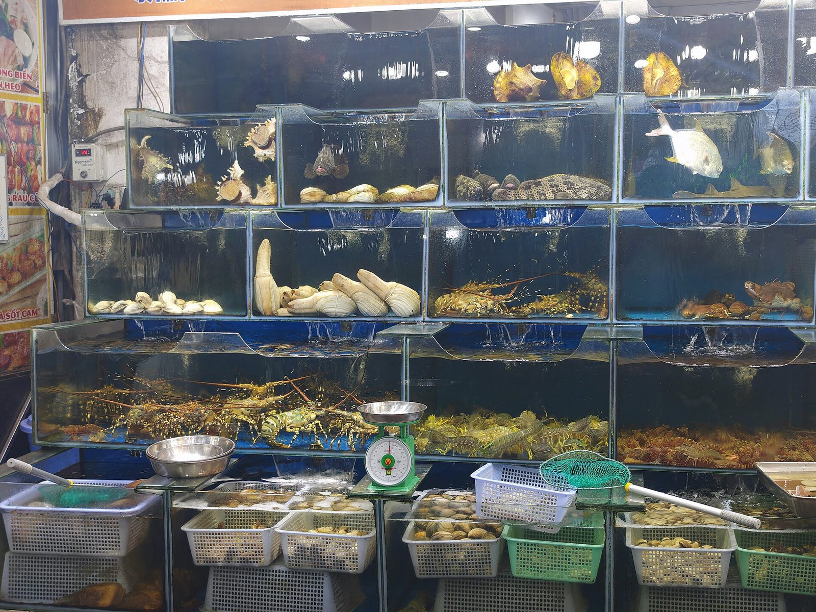 Live seafood in tanks at the Duong Dong night market