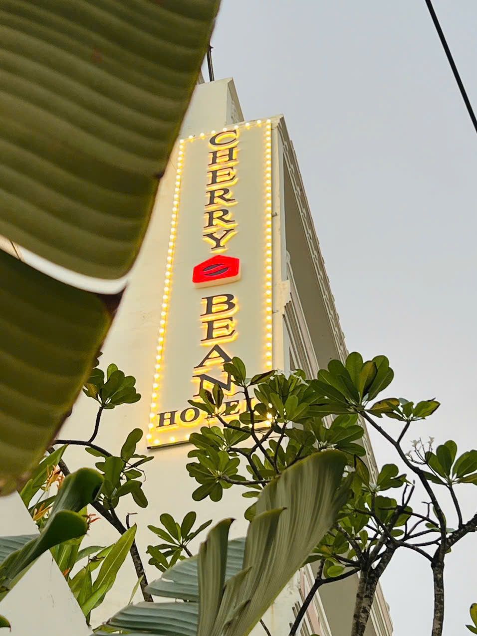 Cherry Bean Hotel by Trần Coffee exterior in Duong Dong