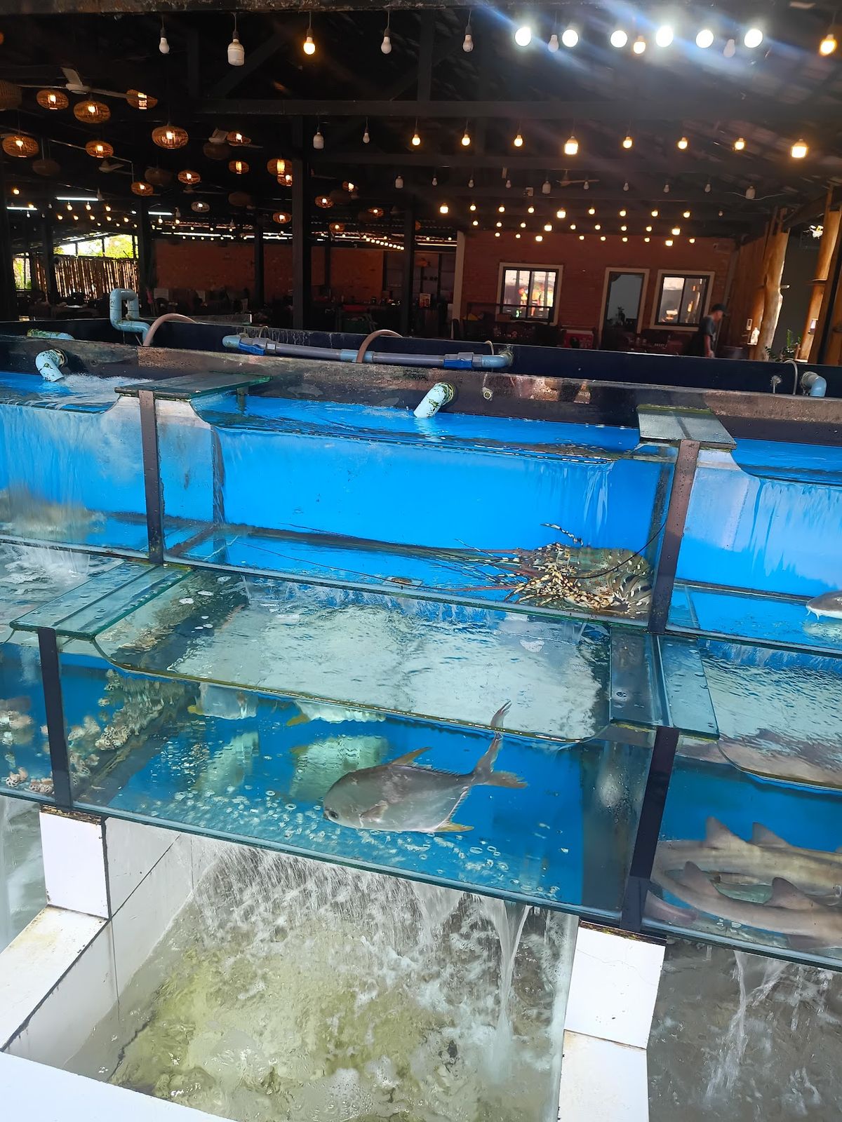 Sea Sunset Hotel Phú Quốc - Welcome to a mixing world of friends room interior in An Thoi