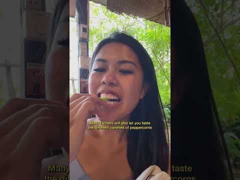 Play: What to do on Phú Quốc Island, Vietnam